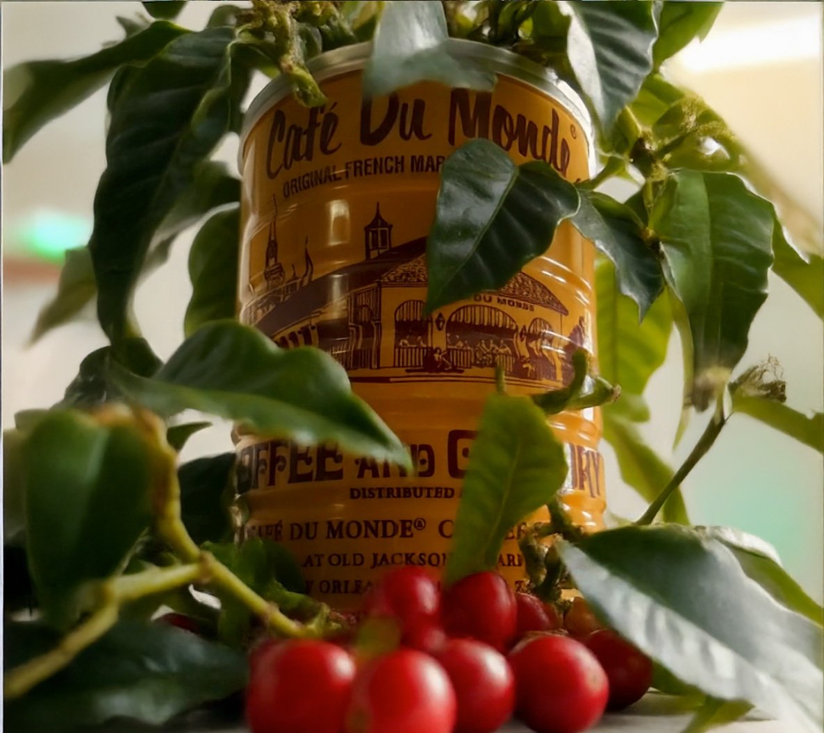 Bring Any Product to Life with AI in Seconds