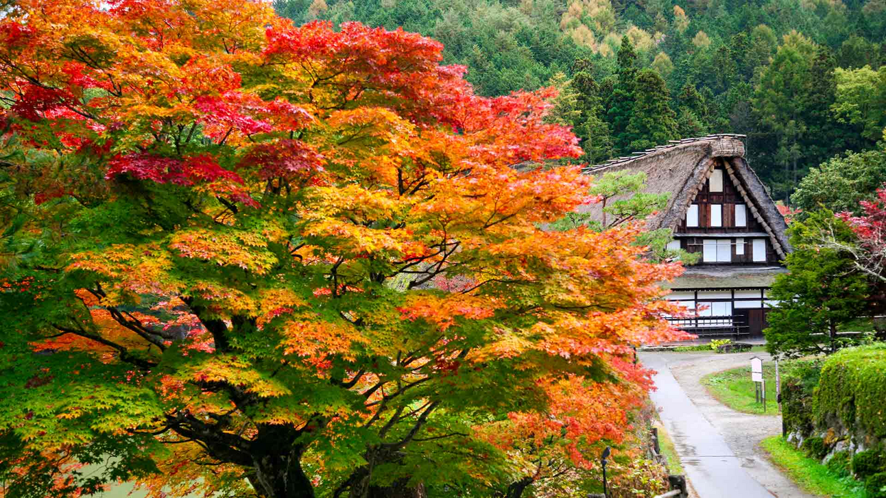 Ultimate Takayama 3-Day Travel Itinerary for 2024