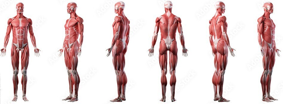 Are you reverting to the fetal position?