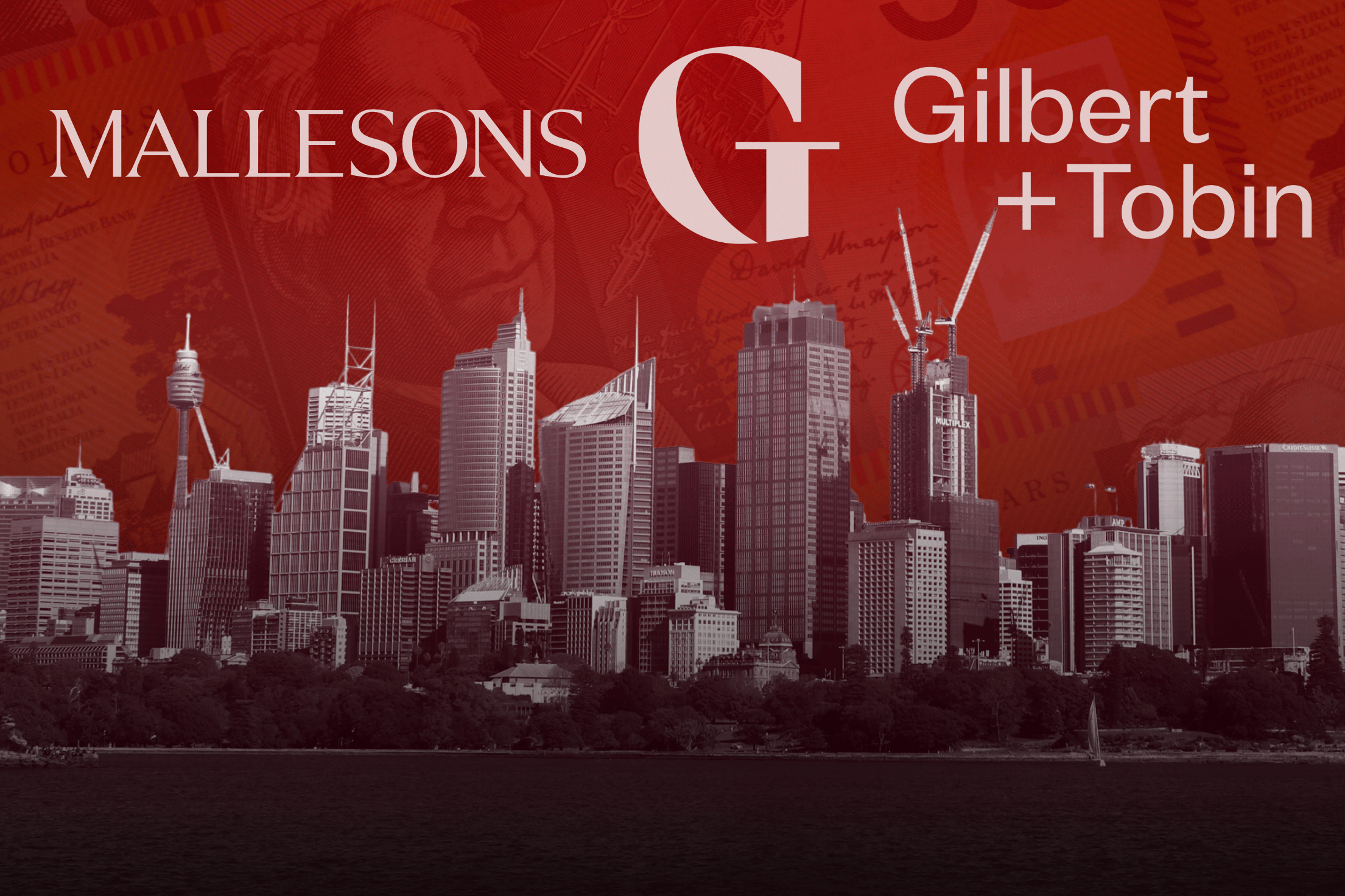 G+T and Mallesons lead the pay race