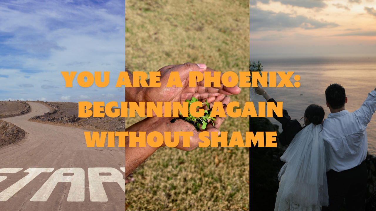 You Are a Phoenix: Beginning Again Without Shame