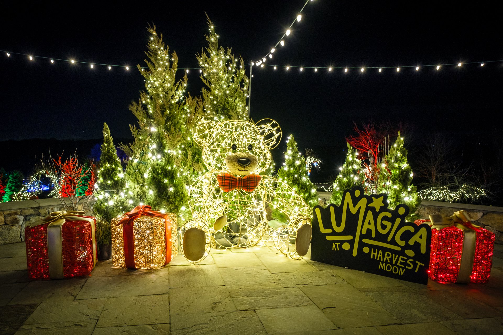 Lumina Magical Lights at Harvest Moon