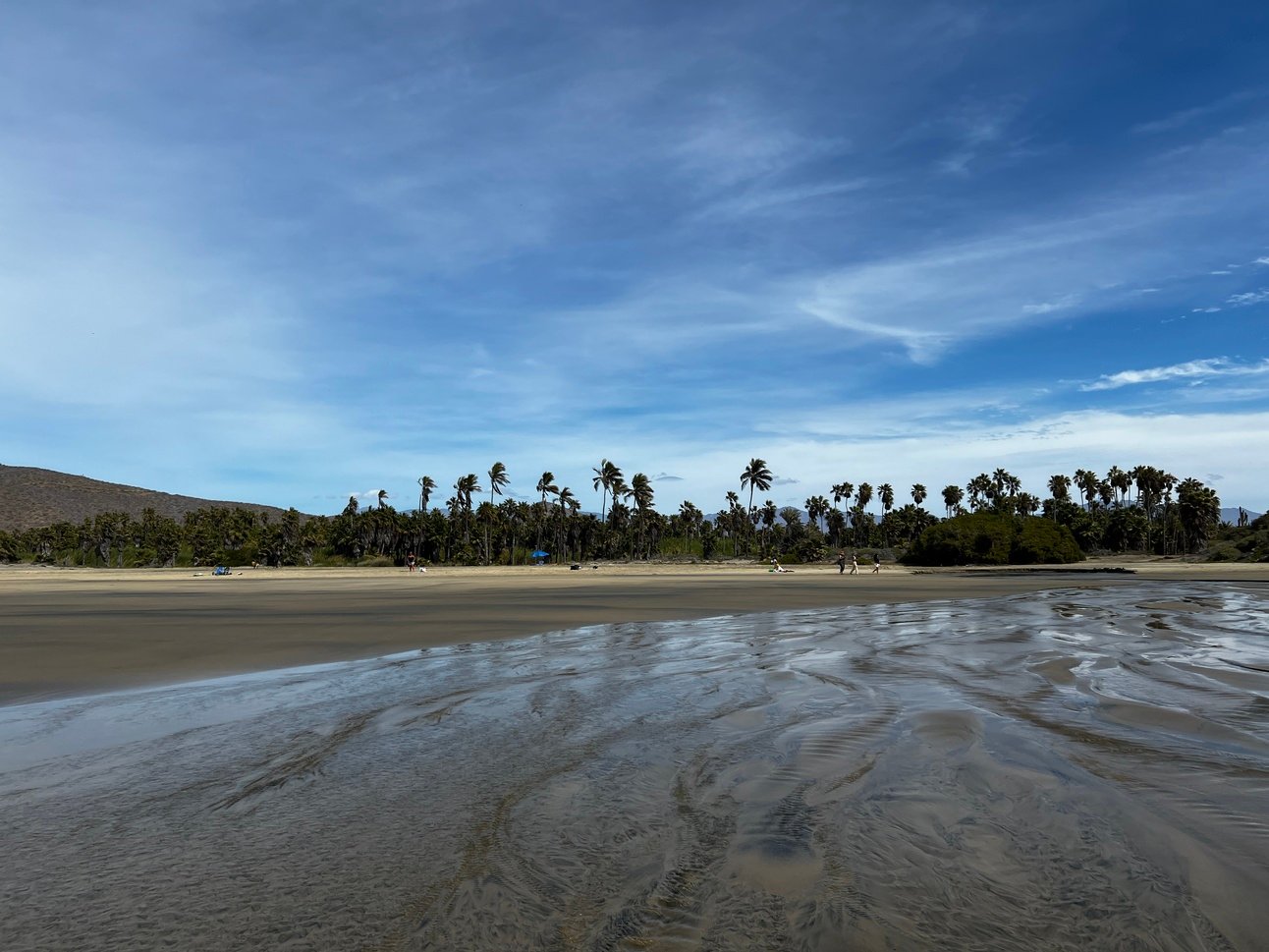 I don't know who needs to hear this, but...