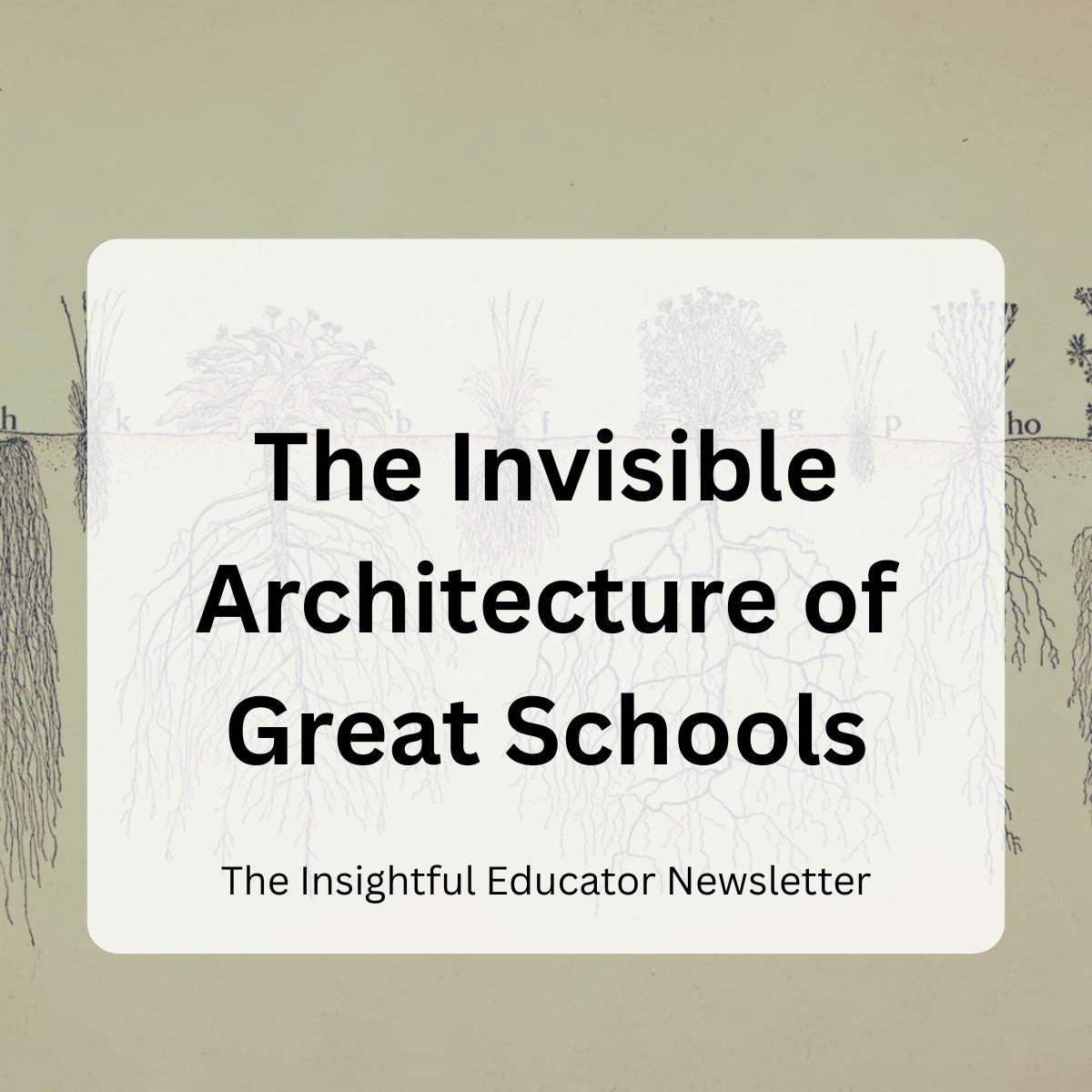 The Invisible Architecture of Great Schools