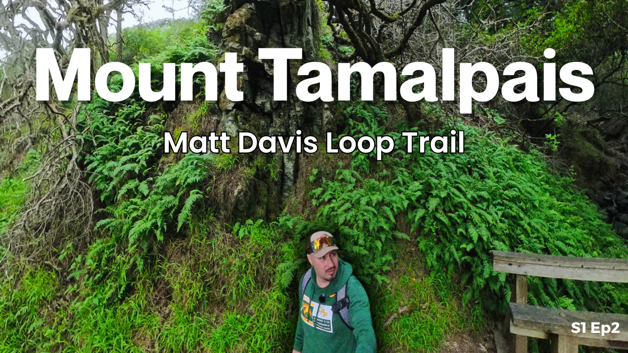 Hiking The Matt Davis Trail in Mount Tamalpais State Park
