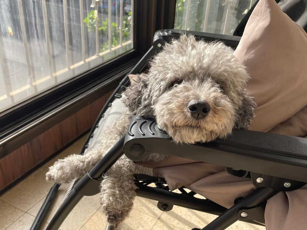 #4 "I'm so fascinated by the person of Yeshua"