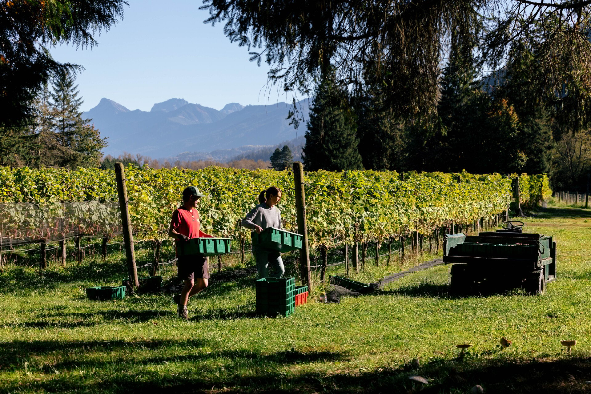 Tuesday - December 23 - Popular stories from 2025