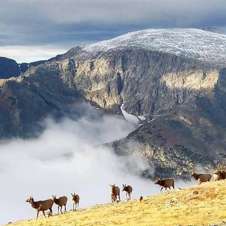 Trail Notes Newsletter: New Year in the Mountains: Fresh Snow, First Light & Cozy Retreats