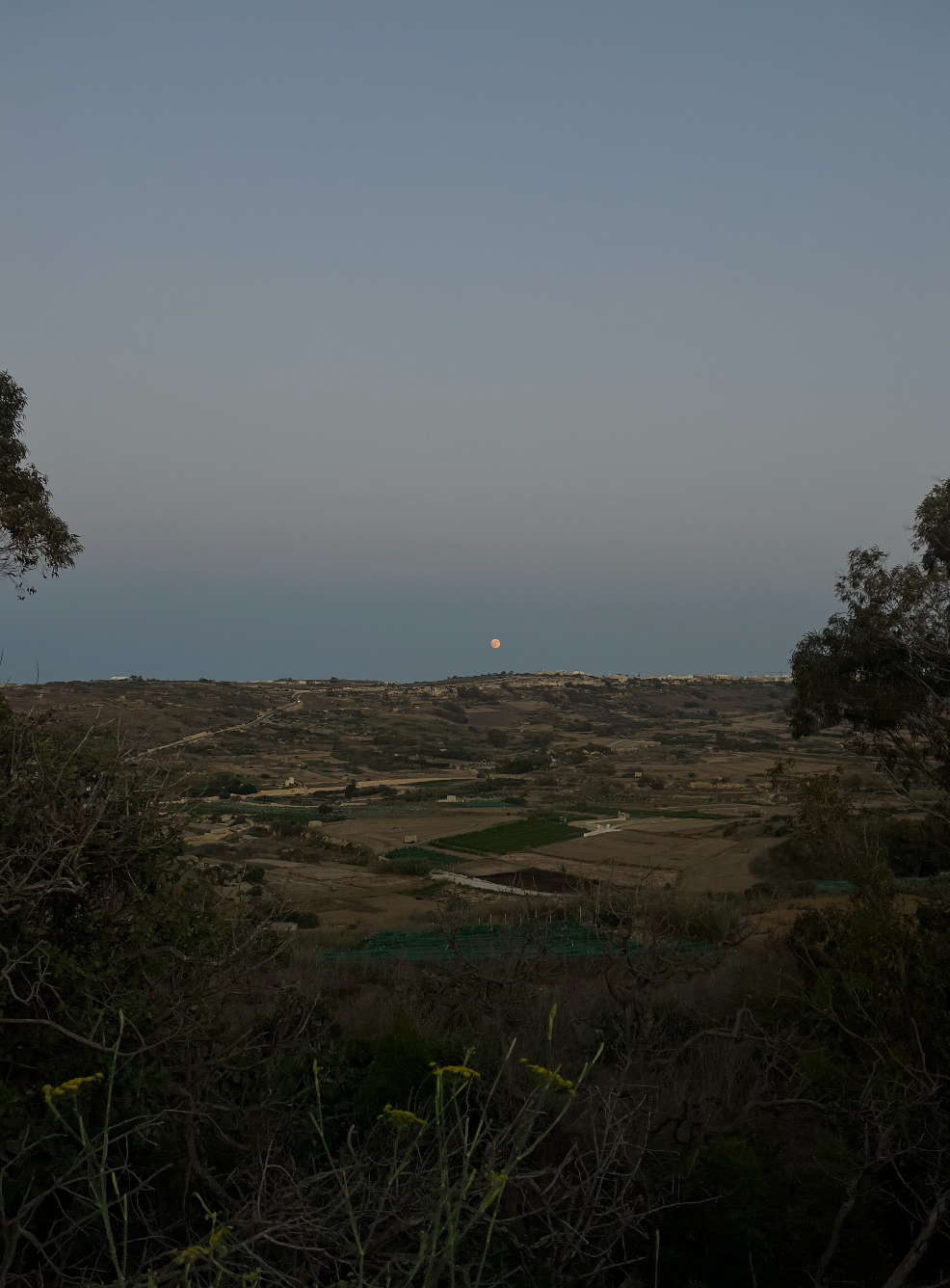  living in freedom or living in fear of rejection?