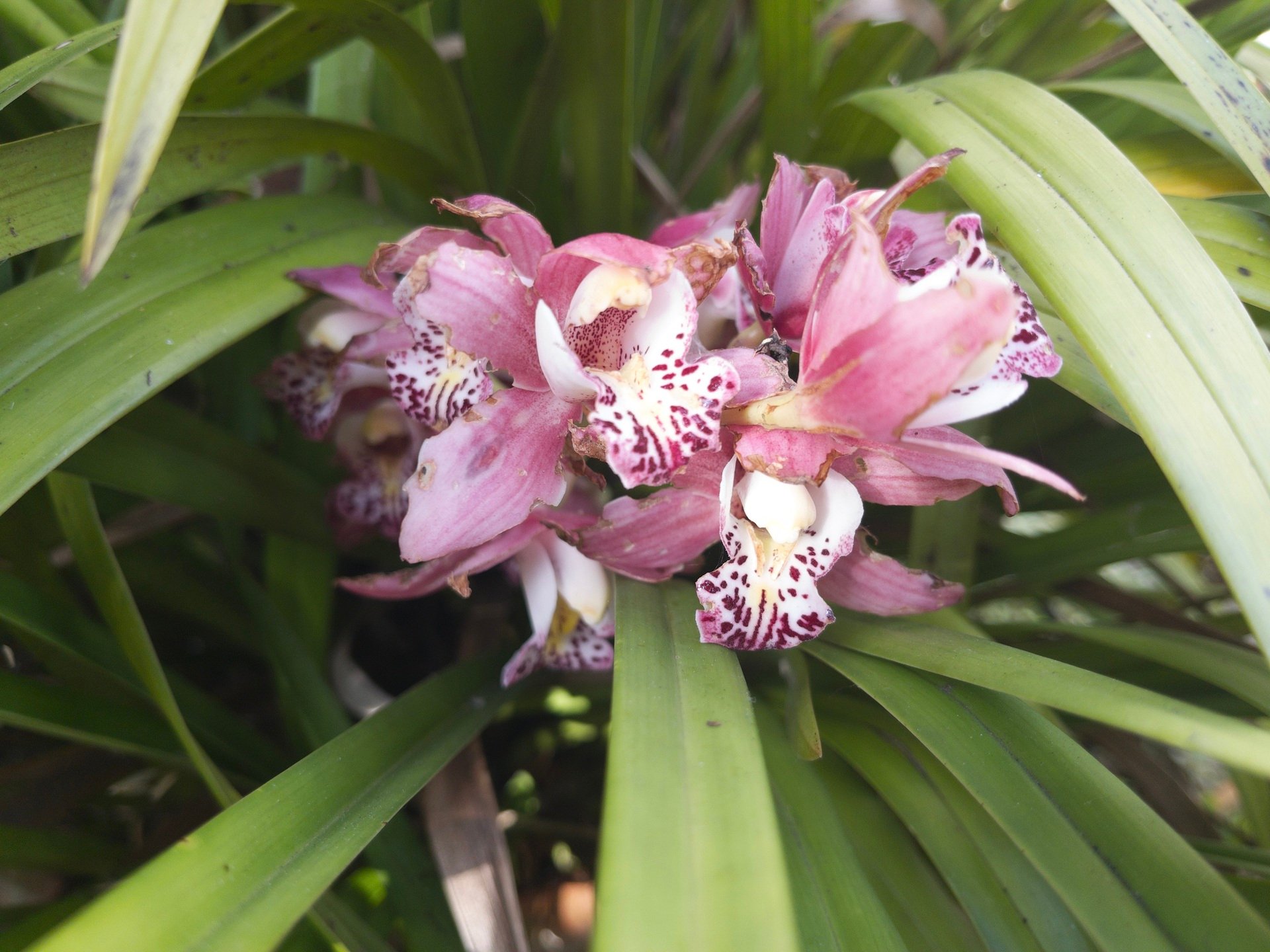 Just Motes: Exuberant Moshing, Community in the Comments, Mass Protagonism, Vinegar