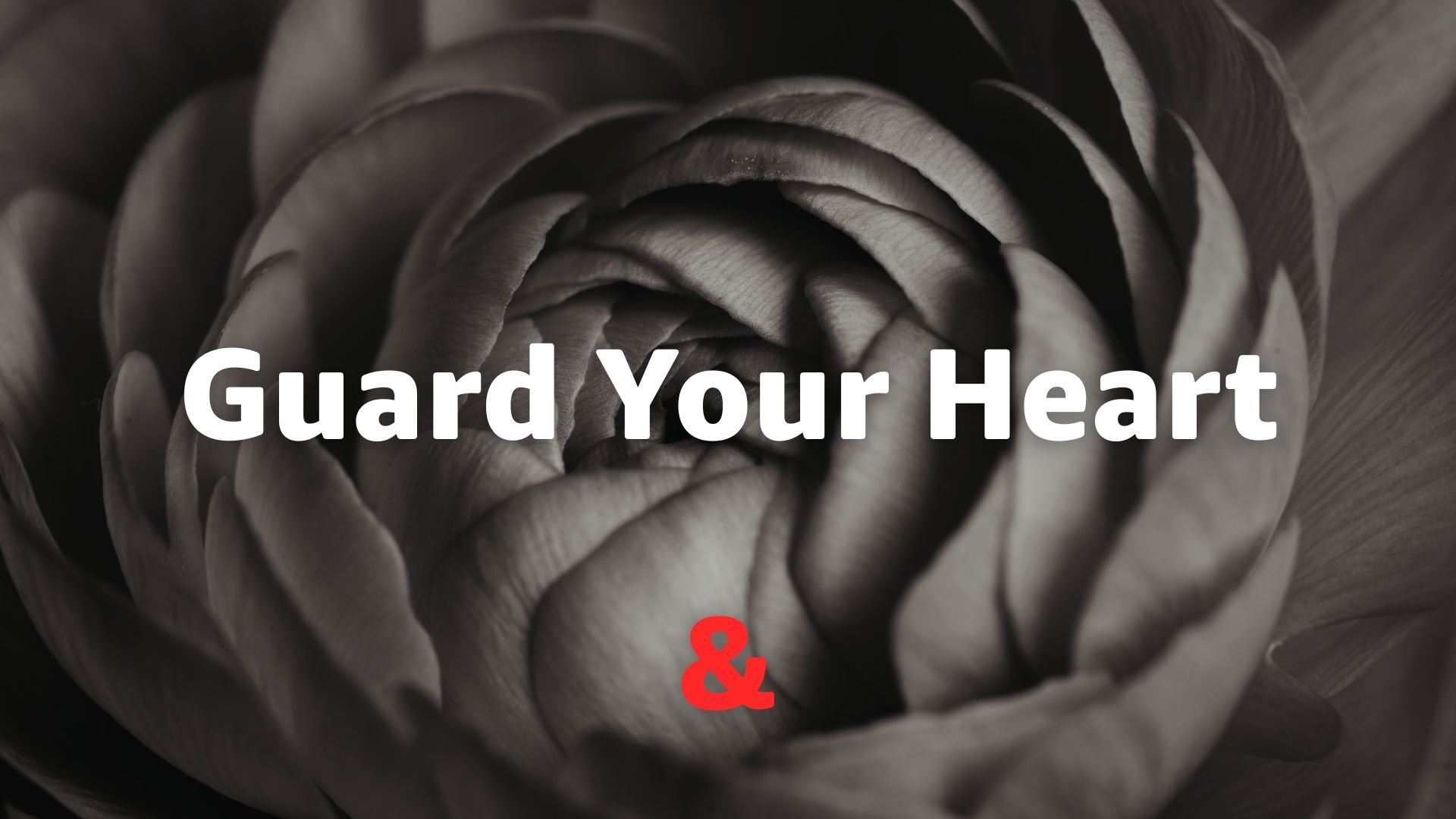 Guard Your Heart