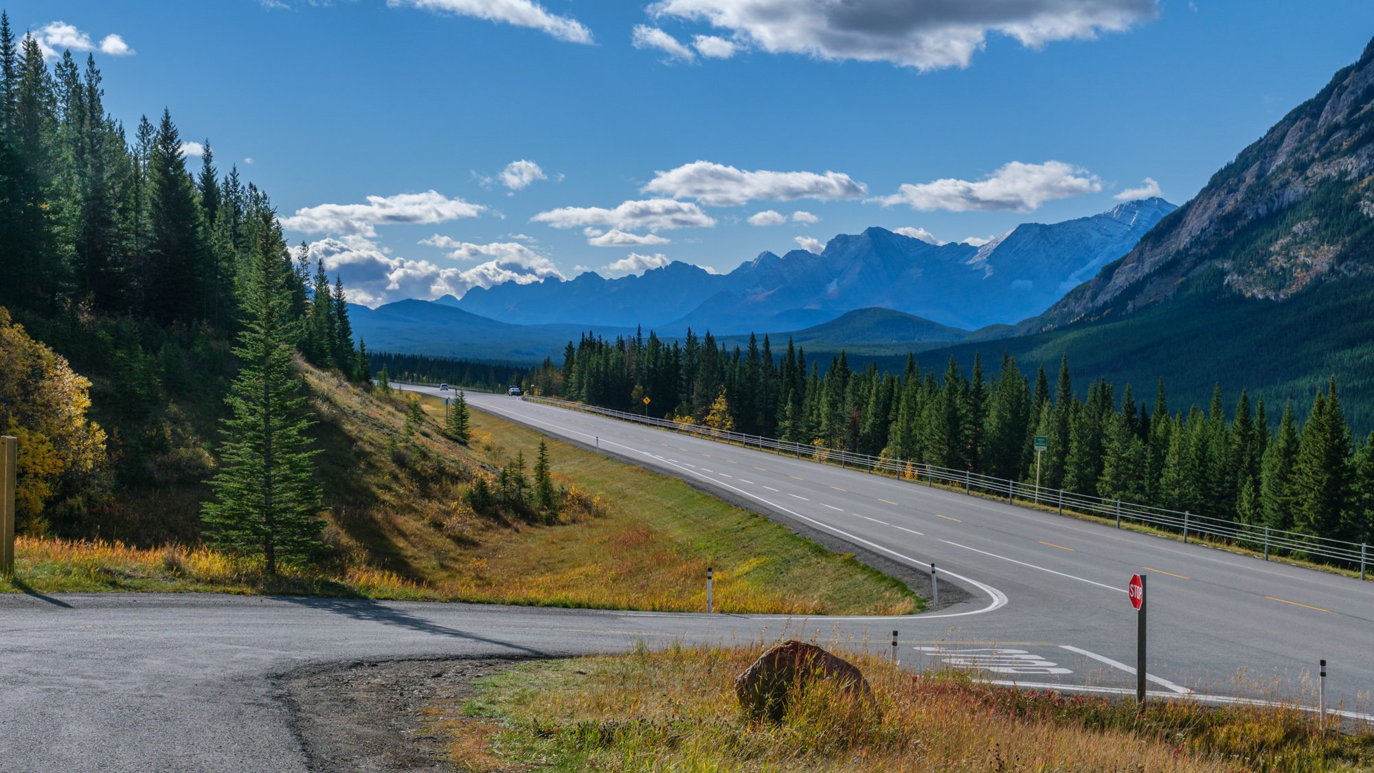 Searching for Someone to Fix Me - My Family Doctor (1/4)