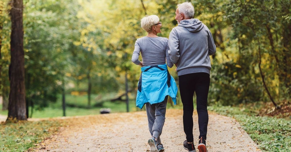 Hidden Fat Around Organs May Damage Arteries, Study Finds