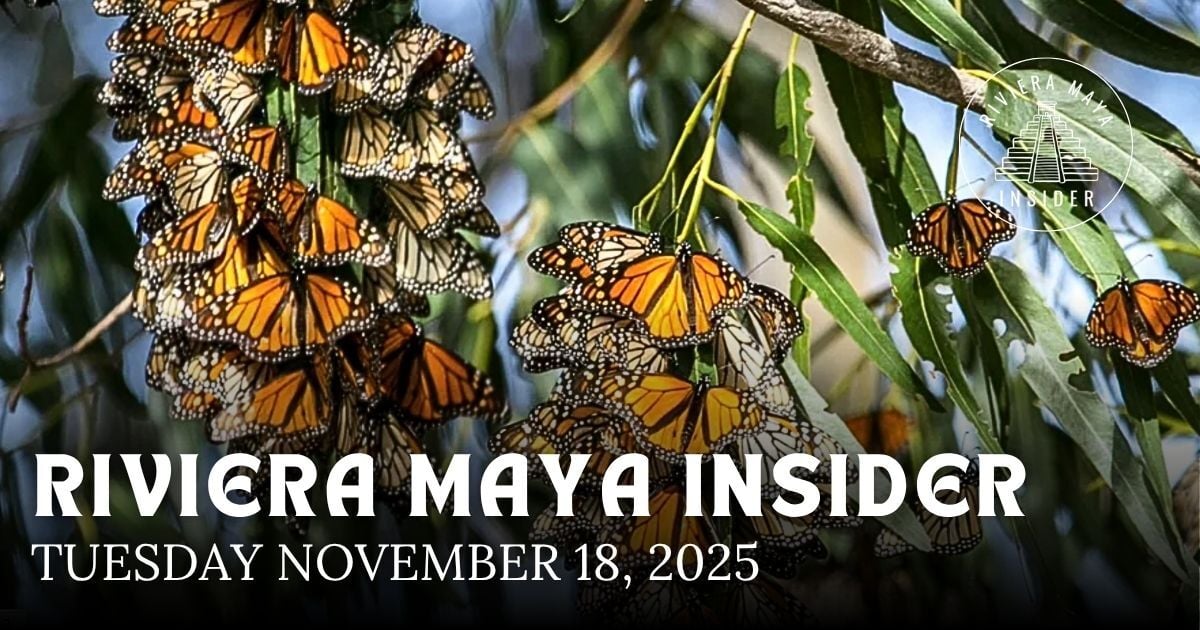 🌴 Butterflies, Birthdays, Beach Access and Bank Deposits