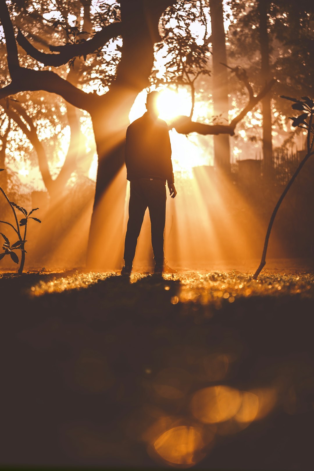 From Heaven’s Throne to Human Flesh
