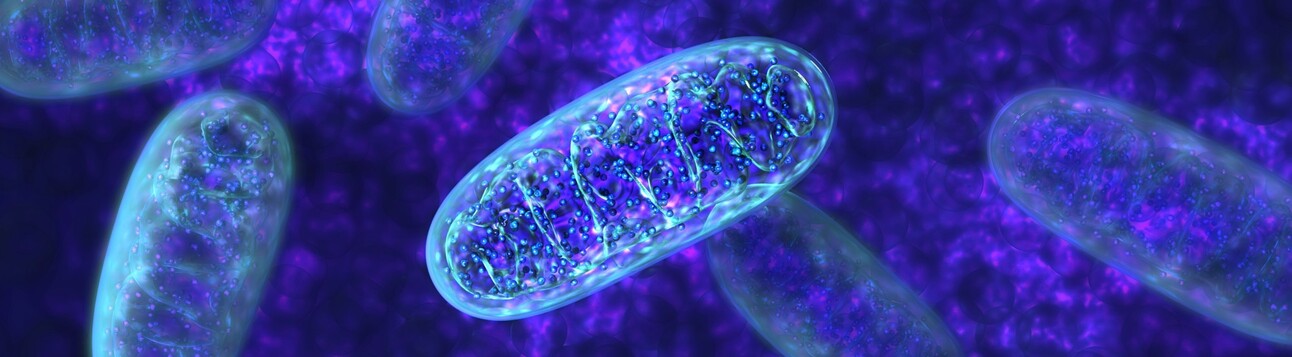 2026 Longevity Trendleri:Gürültüyü Bilimden Ayırmak: Eksozom IV, Soğuk Dalış ve Peptid Gerçeği