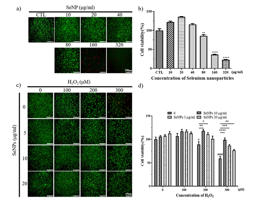 Synthesis, Characterisation and Mechanistic Action of Nanomaterials in Stem Cell Therapy