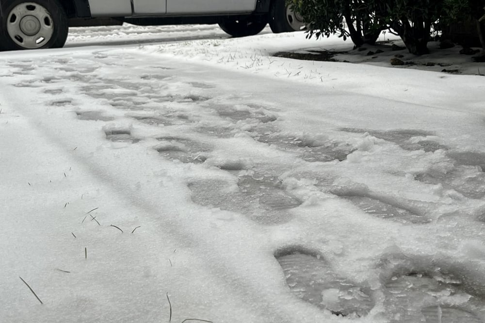 DTX-RIC: Impact 2/23/2026