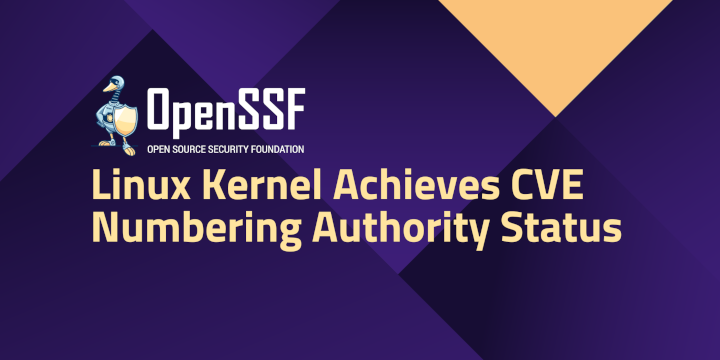 Linux gets into the CVE security business