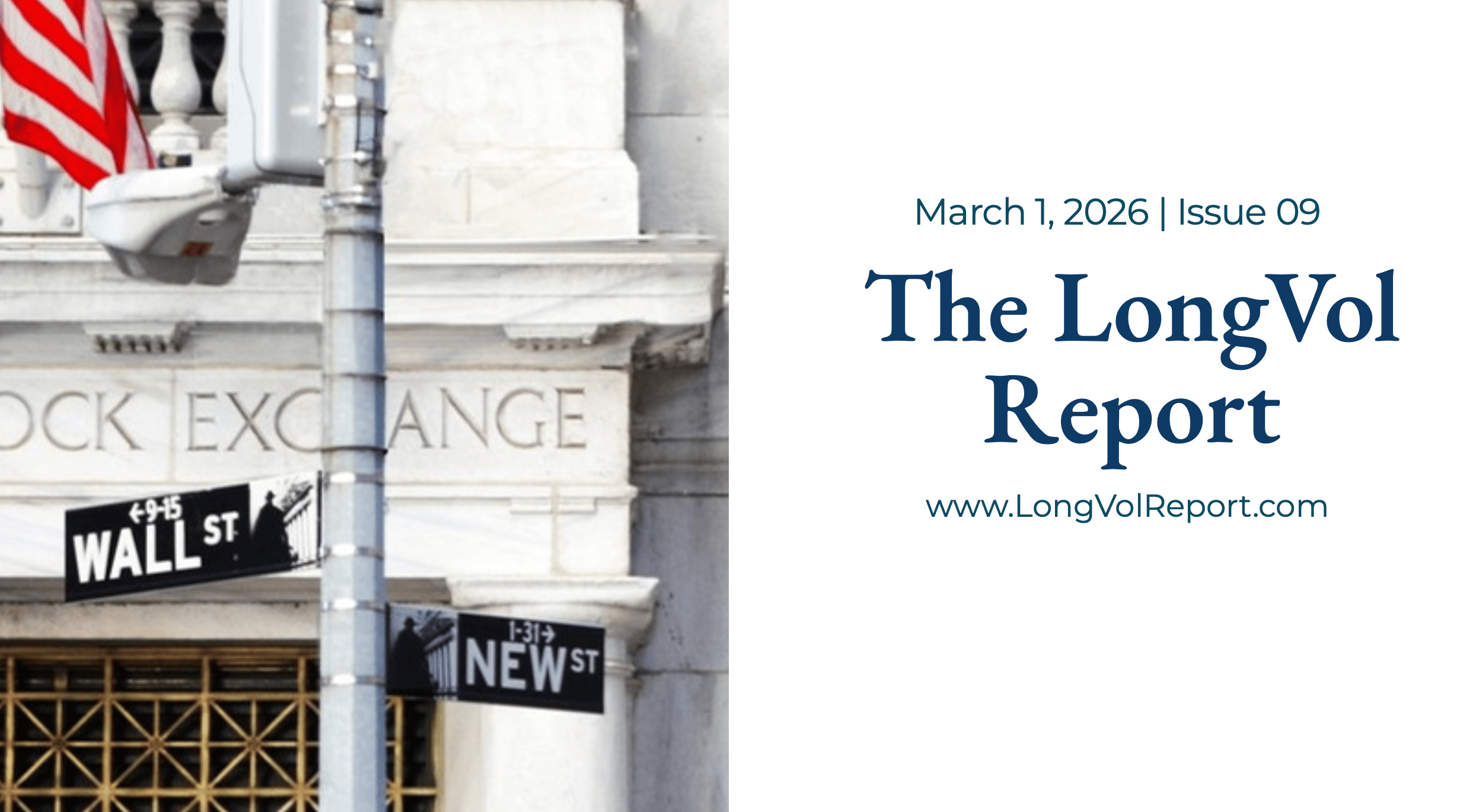LongVol Report Newsletter 9