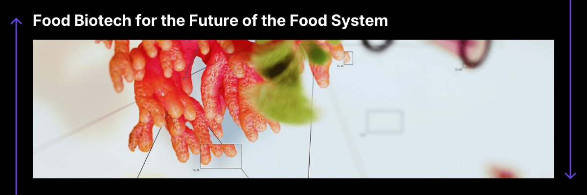 🔬 350 Ways to Rebuild Food Production Capacity with Biotech