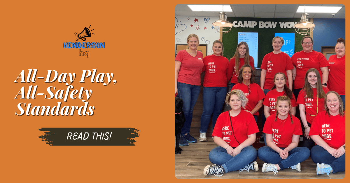 All-Day Play, All-Safety Standards