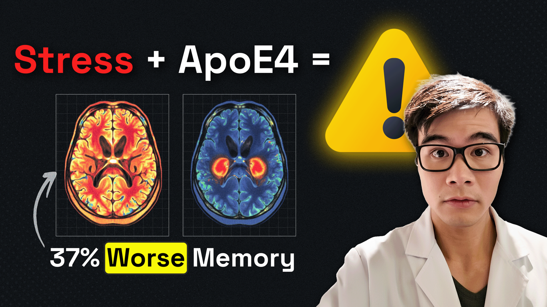 Why your stress response is genetically different (and what to do about it)