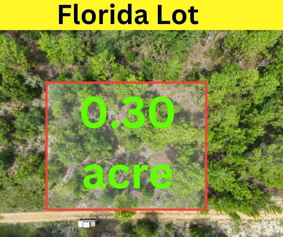 .30 acre Florida lot for sale for $239/mo