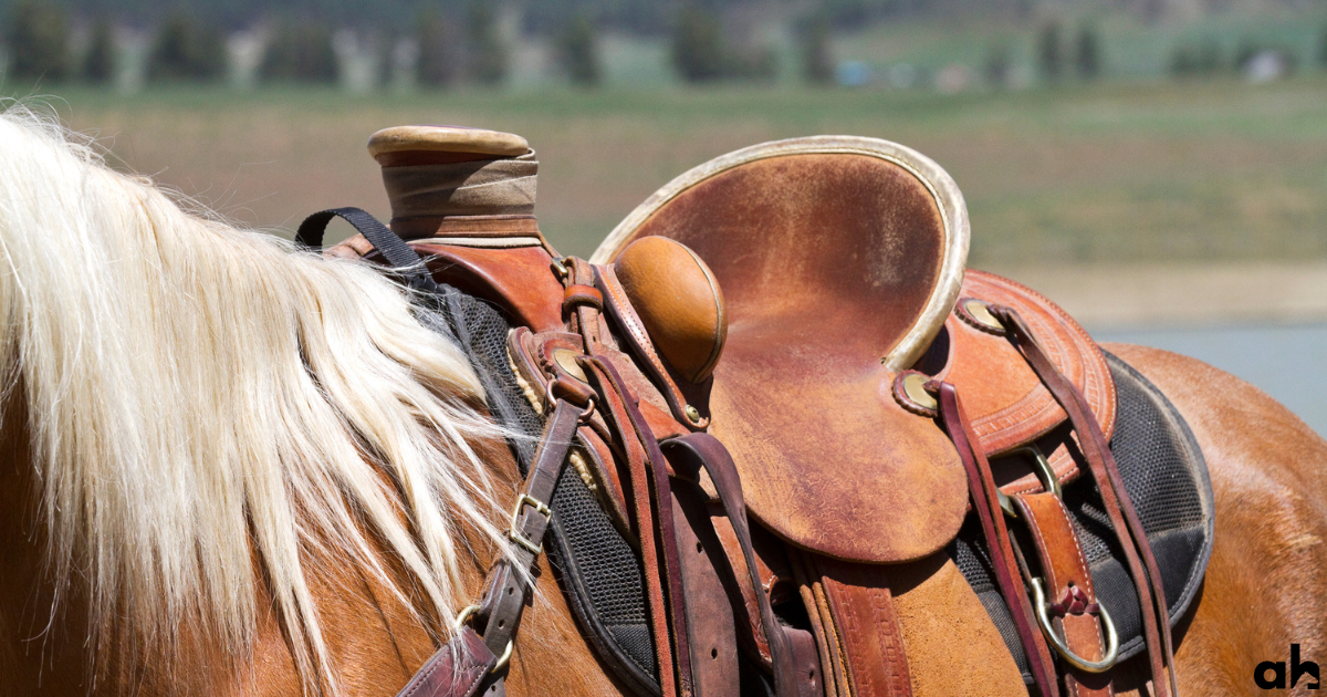 A Comprehensive Guide To Choosing The Right Types Of Western Saddles