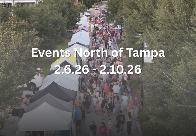 🎉 North Tampa Buzz Events 2.6.26-2.10.26