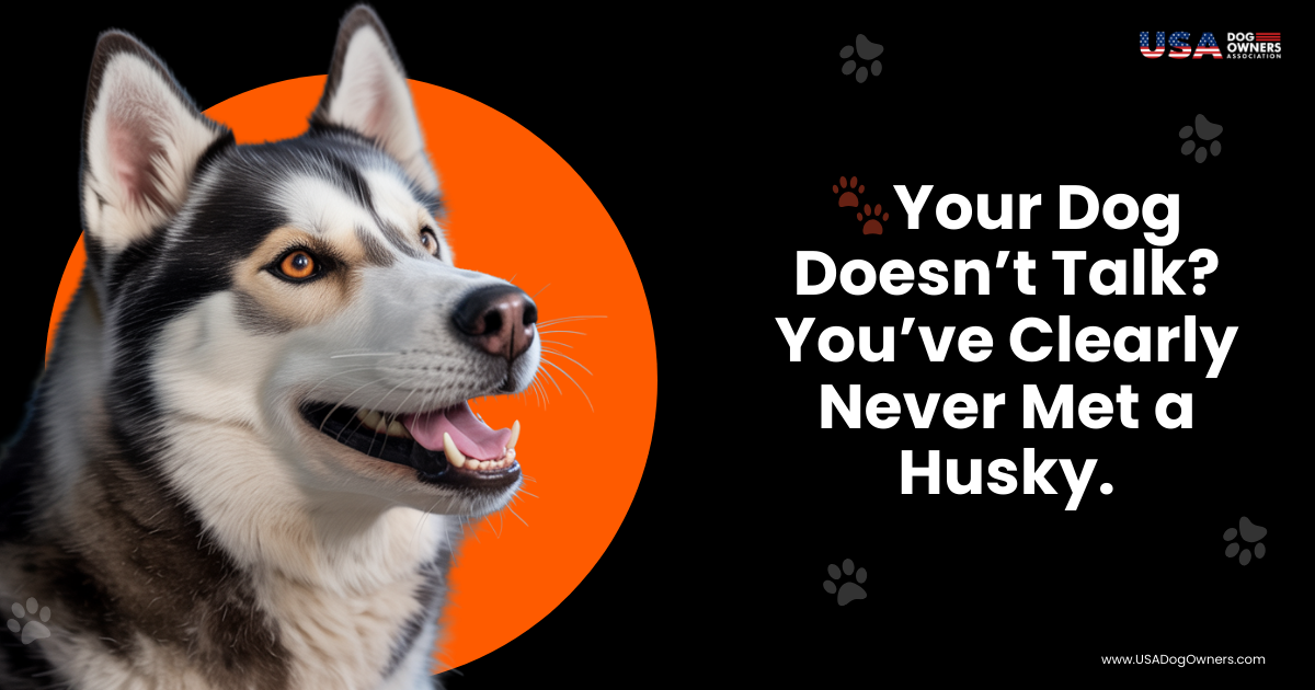 🐾Your Dog Doesn’t Talk? You’ve Clearly Never Met a Husky.