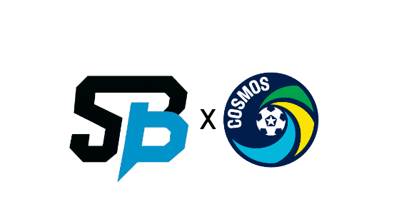The Business of Re-Building Sports Teams: New York Cosmos