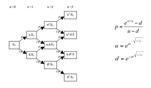 The Puzzle in Option Pricing