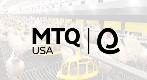 When Egg Empires Collide: How Brazilian Companies Are Remaking the American Breakfast