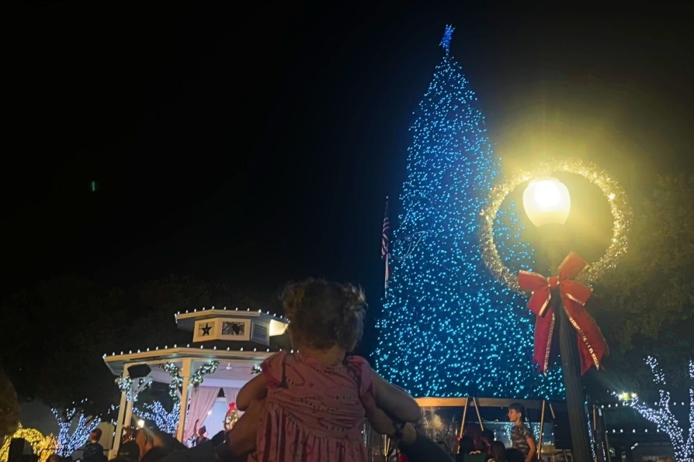 DTX-GCS: Impact 11/28/2025