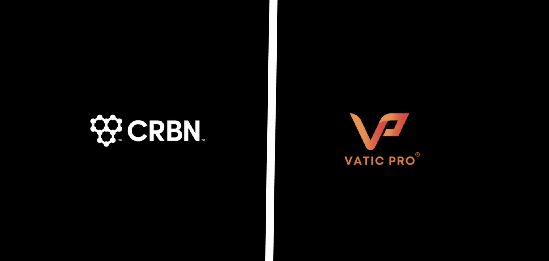 CRBN sues Vatic Pro over paddle patent