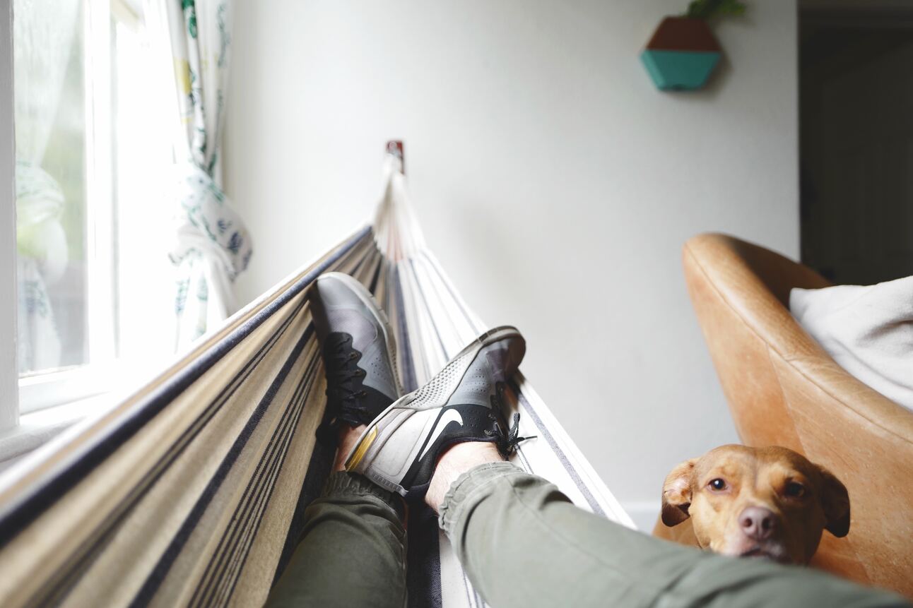 The Rise of Niche Short-Term Rental Markets: Pet-Friendly, Family-Oriented, and Luxury Stays