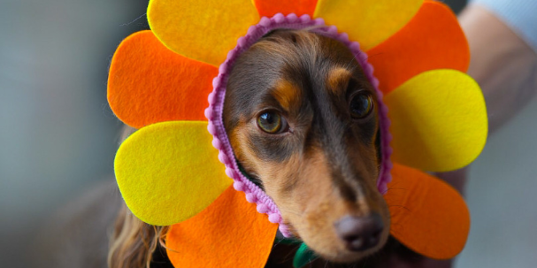 Engine Off: Idle Mind