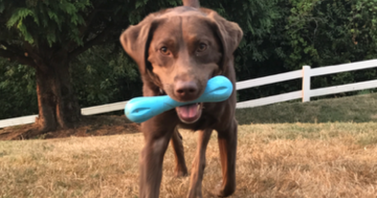 Why Performing for the Algorithm Is Costing You Clients