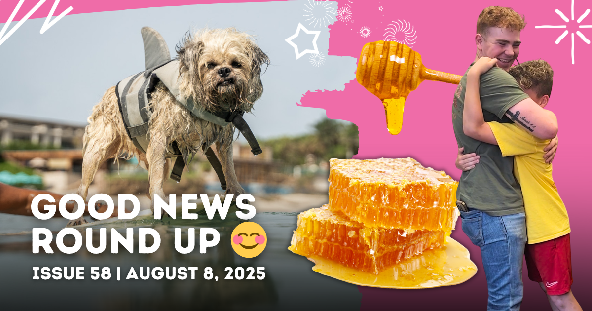 Surf dogs, sweet dads & ancient snacks 🍯🐶🏎️