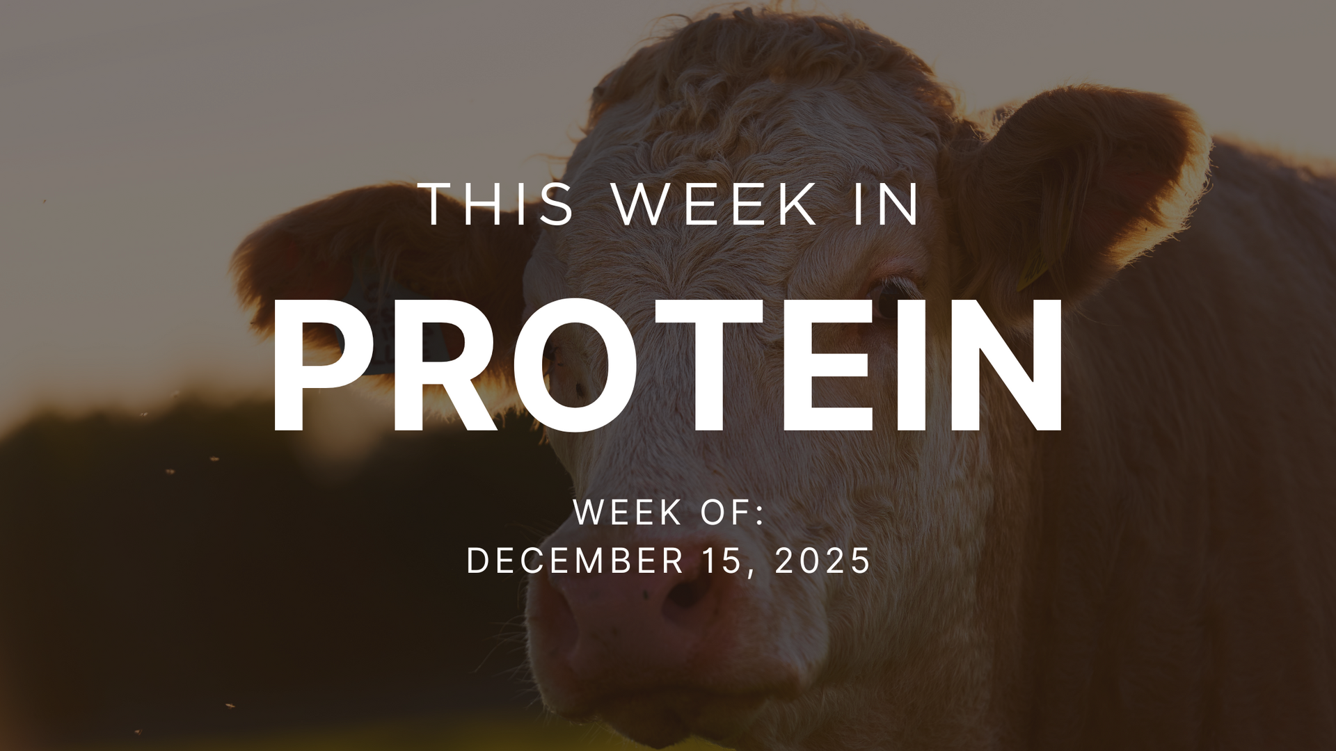 Protein Signals - Week of December 15, 2025