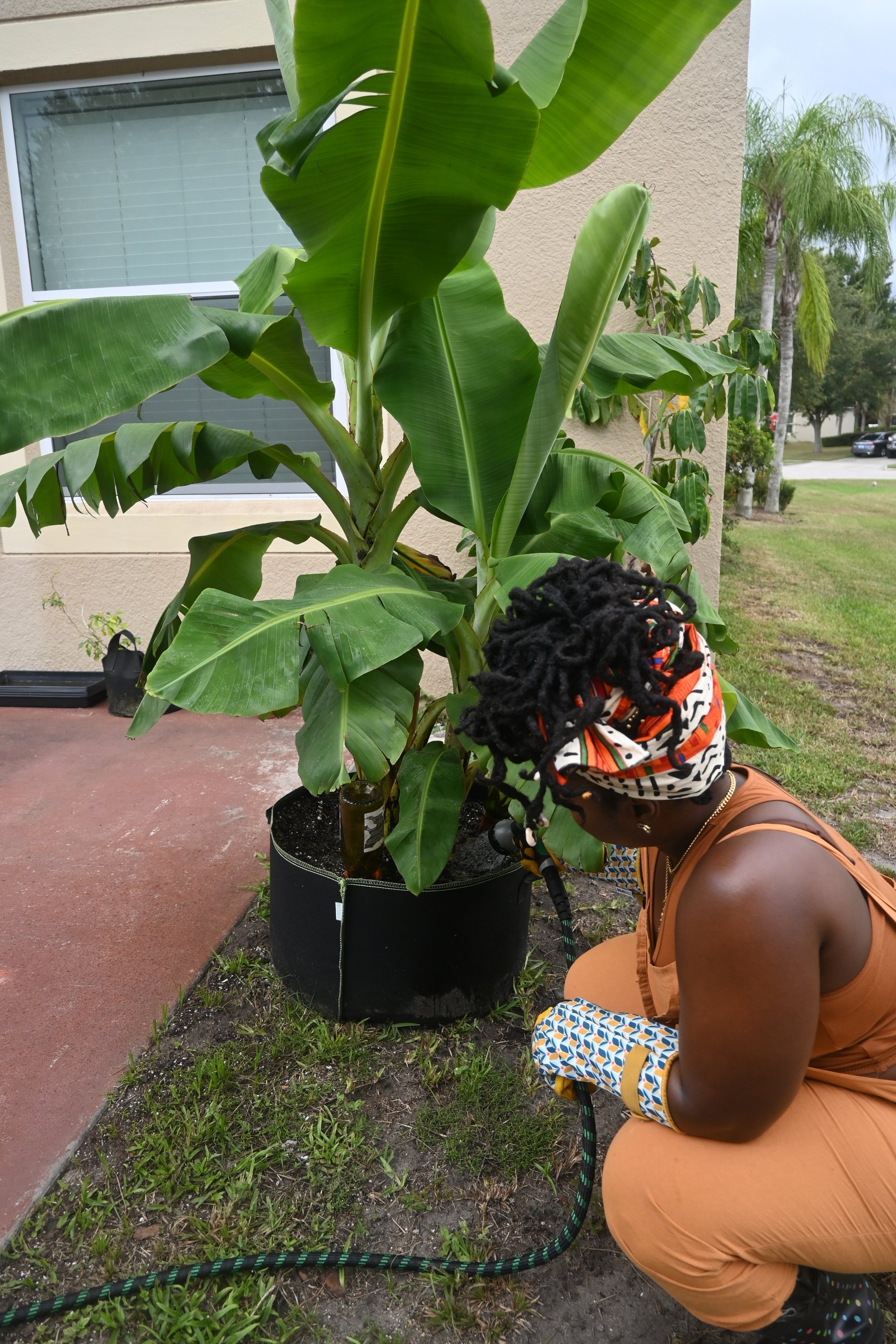 Container Gardening for Spring