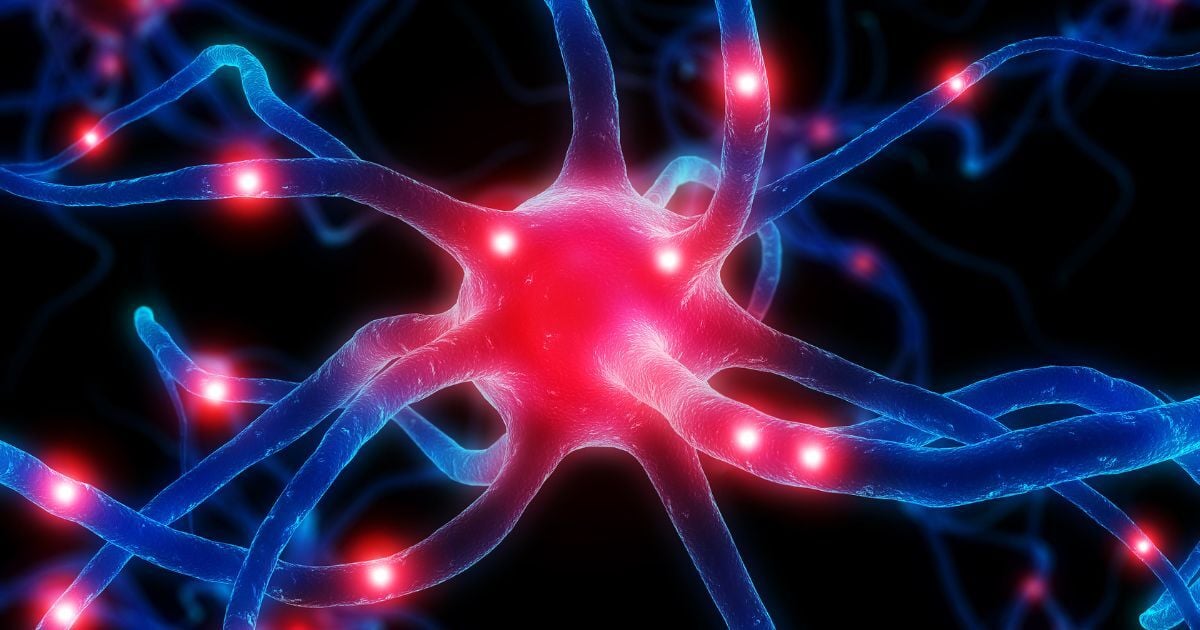 Leptin-Sensing Brain Circuit Links Anxiety and Appetite