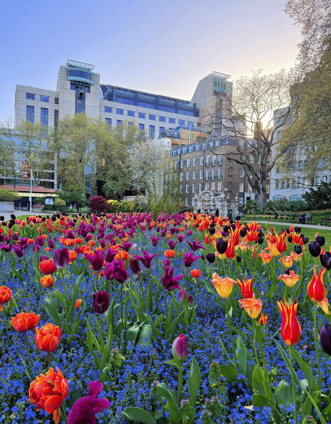 Things to Do in North London in May 2026