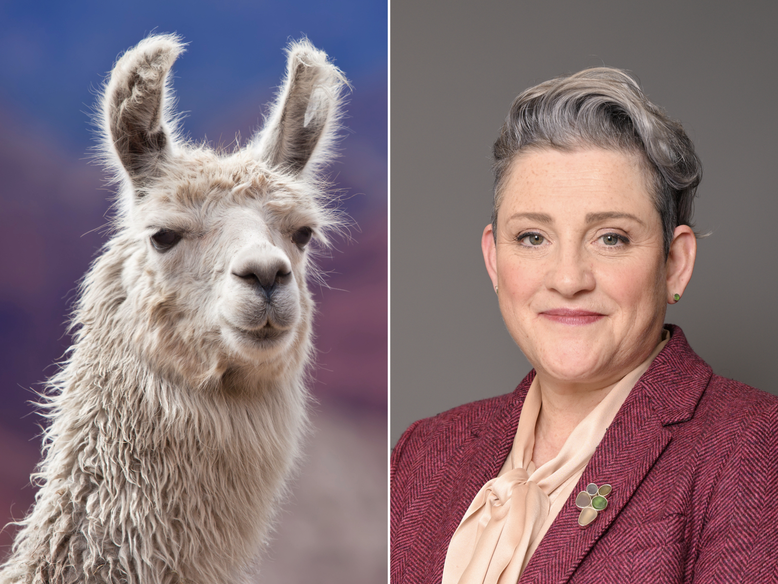 Heroes and villains of 2025