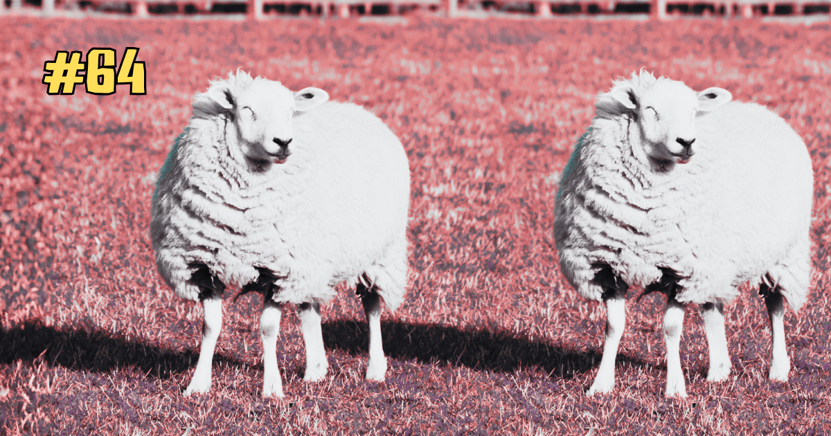 🗣️ Organ Sacks & Baseball Bats