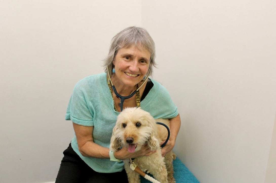 🐾 Vet Voices: Dr. Andrea Kimler on the Real Challenges Behind Pet Care 🐾