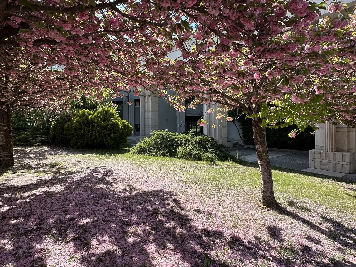 filAnkara #037: 15 Ocak-18 Ocak 2026