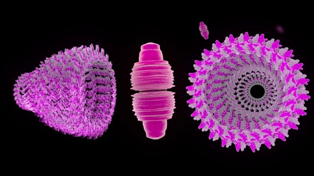 Vault: 40 Anos de Mistério