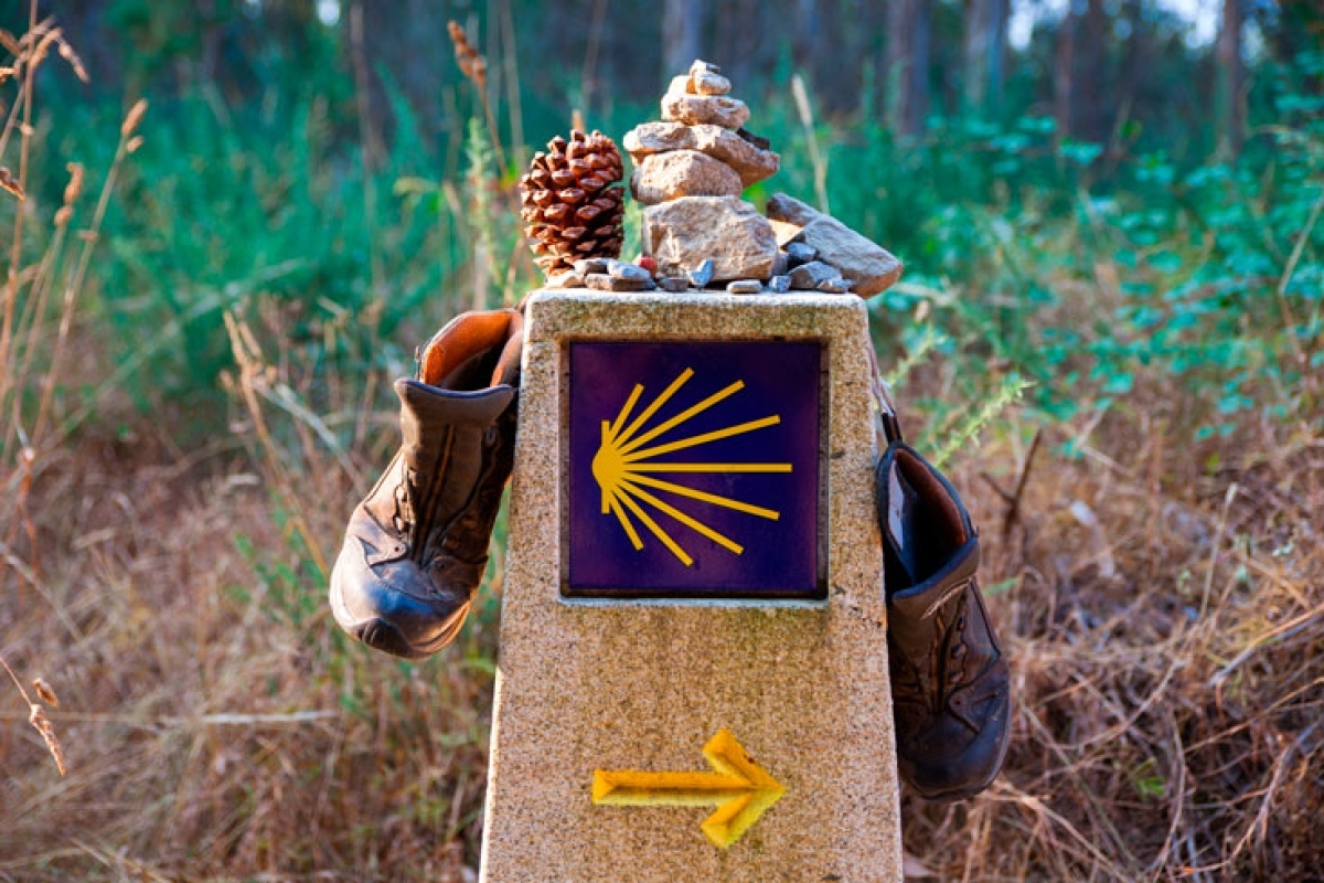 El Camino de Santiago